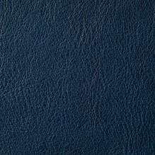 Panama In Blue Nocturne swatch