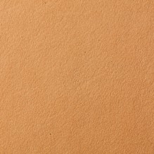 Florida In Camel swatch