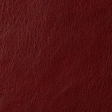 Panama In Oxblood 1507 swatch
